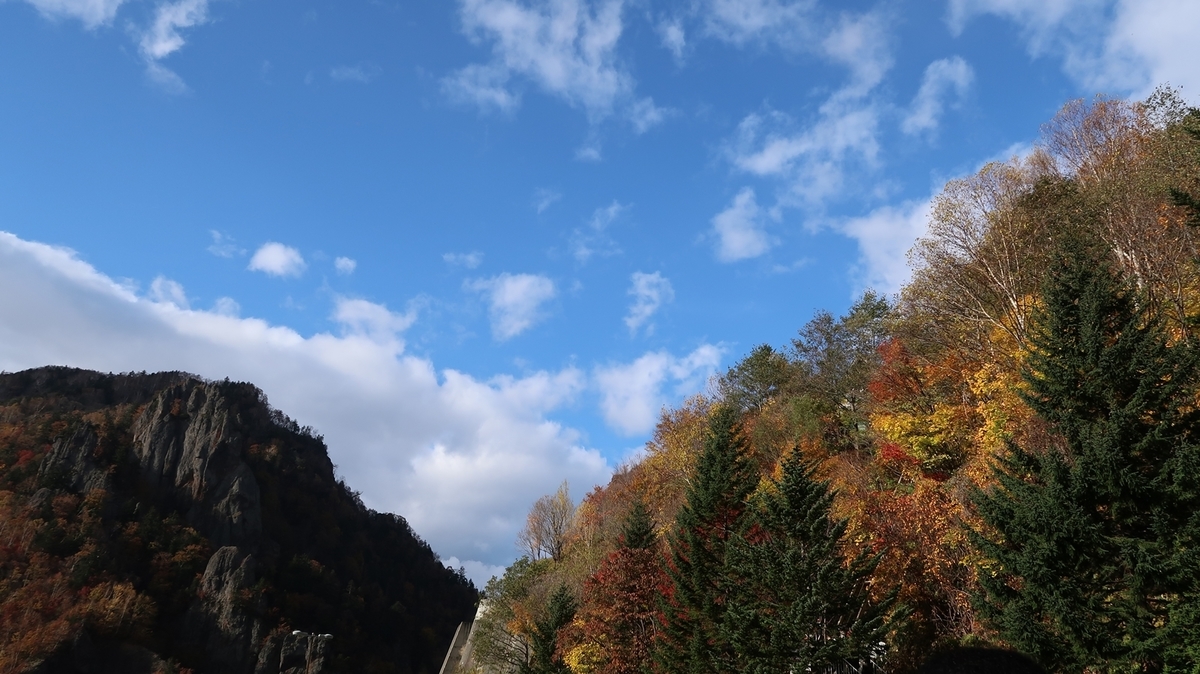 f:id:shirokumapanda:20181123000047j:plain f:id:shirokumapanda:20181123000047j:plain