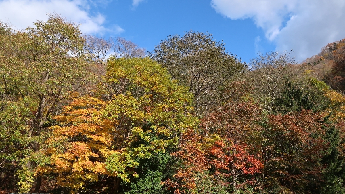 f:id:shirokumapanda:20181123000157j:plain f:id:shirokumapanda:20181123000157j:plain