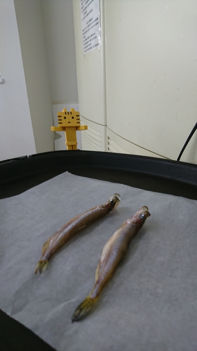 f:id:shirokumapanda:20181123233924j:plain