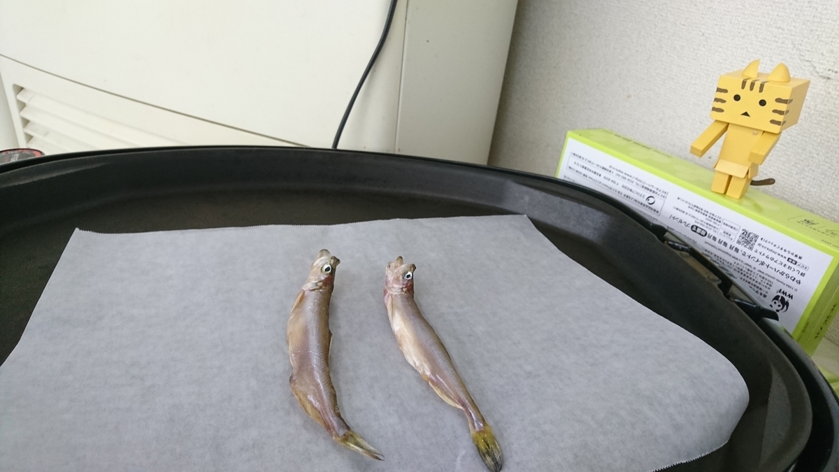 f:id:shirokumapanda:20181123233928j:plain