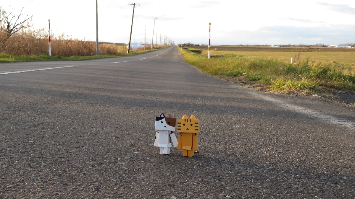 f:id:shirokumapanda:20181124010757j:plain