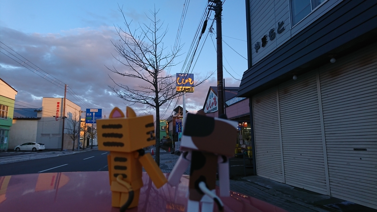 f:id:shirokumapanda:20181124010802j:plain