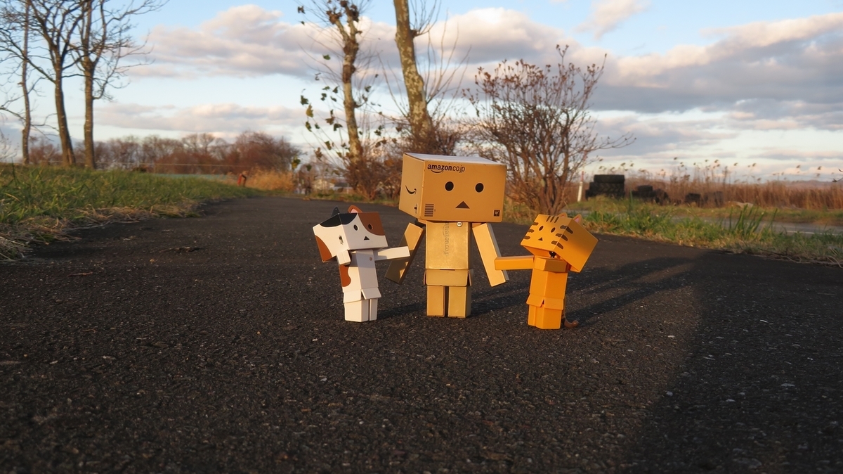 f:id:shirokumapanda:20181124010926j:plain