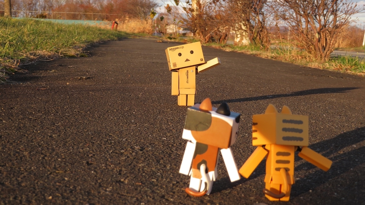 f:id:shirokumapanda:20181124010932j:plain