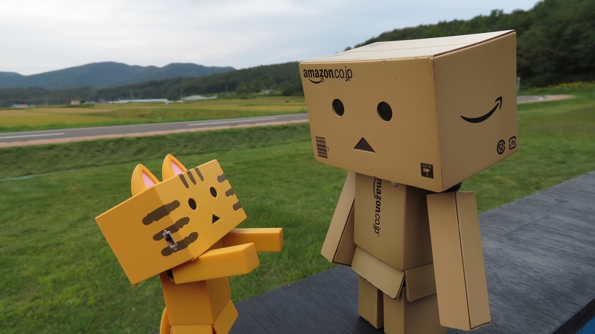 f:id:shirokumapanda:20181125025320j:plain