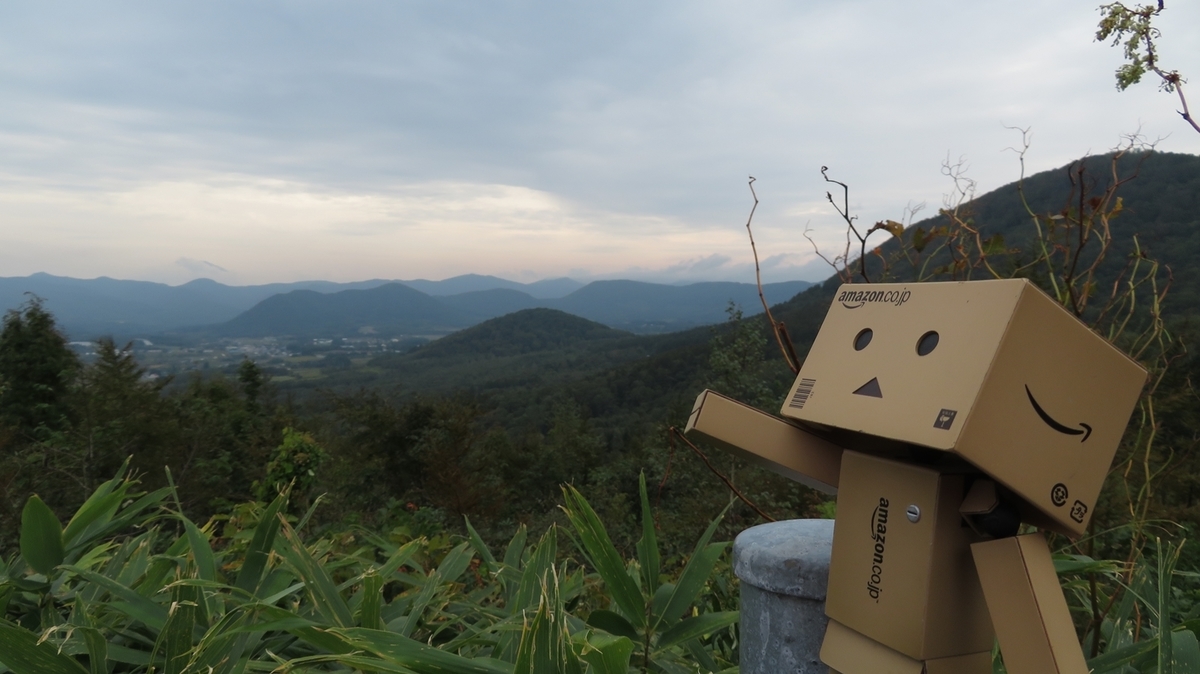 f:id:shirokumapanda:20181204014111j:plain