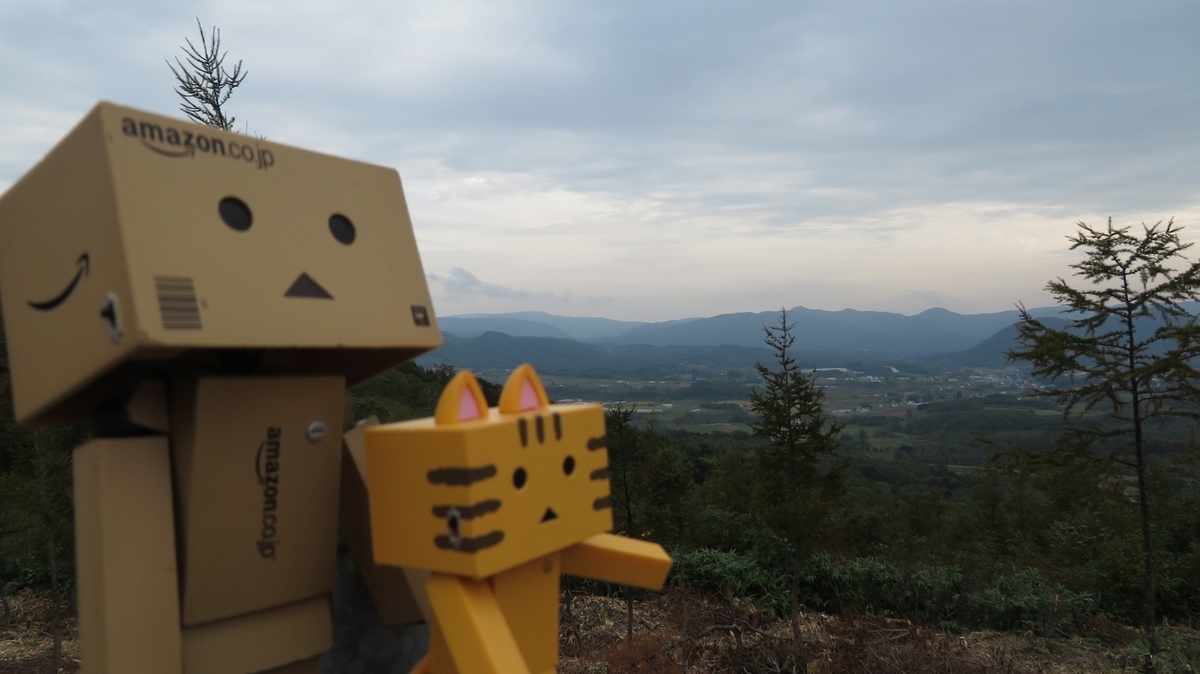 f:id:shirokumapanda:20181204014120j:plain
