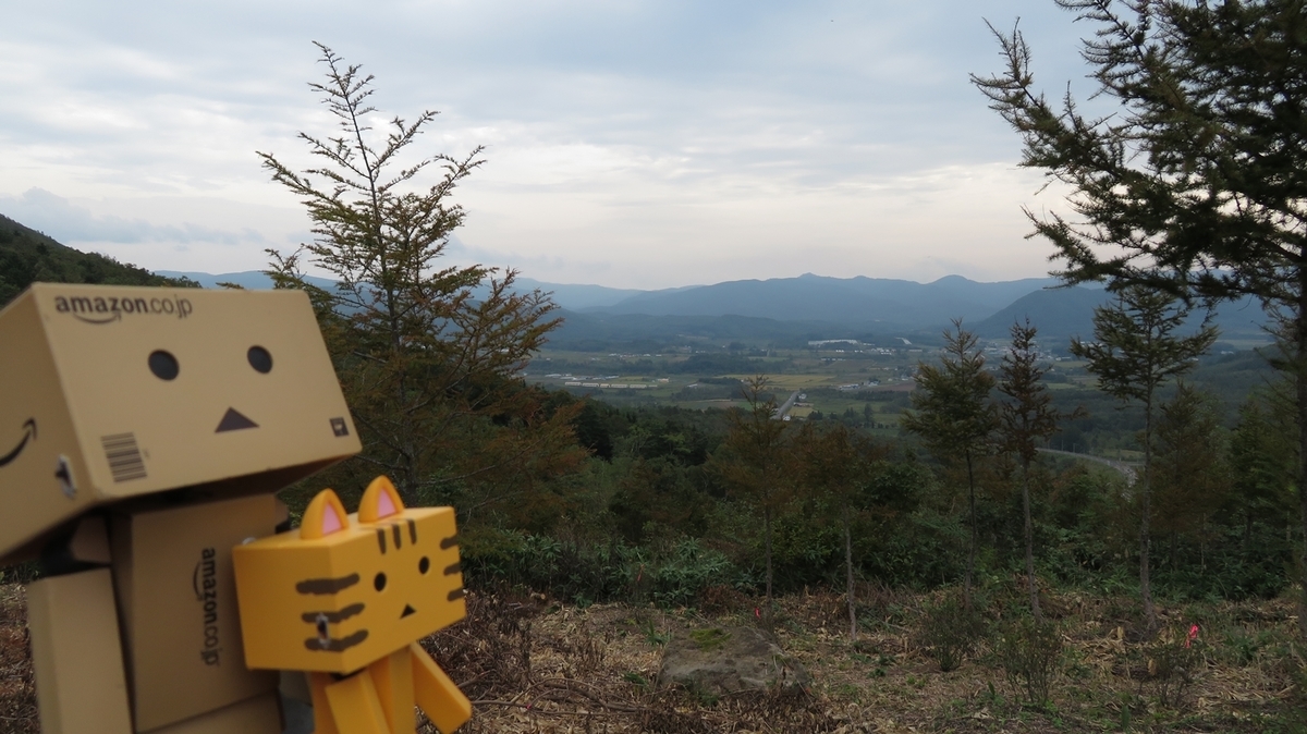 f:id:shirokumapanda:20181204014129j:plain
