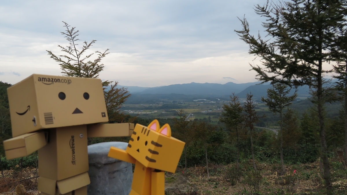 f:id:shirokumapanda:20181204014221j:plain