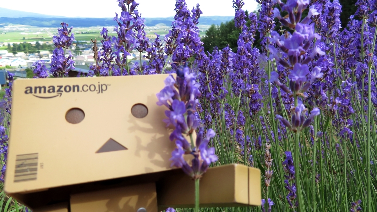 f:id:shirokumapanda:20181214011834j:plain