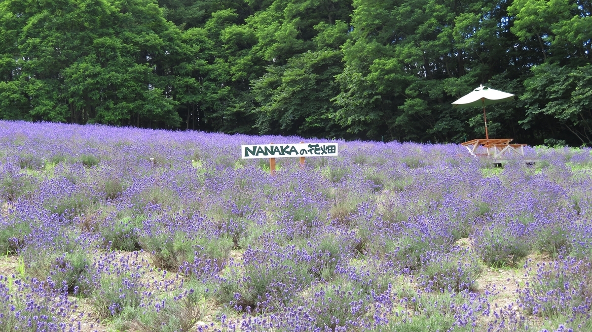 f:id:shirokumapanda:20181214011838j:plain