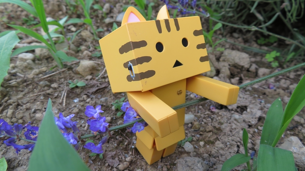 f:id:shirokumapanda:20181214011944j:plain