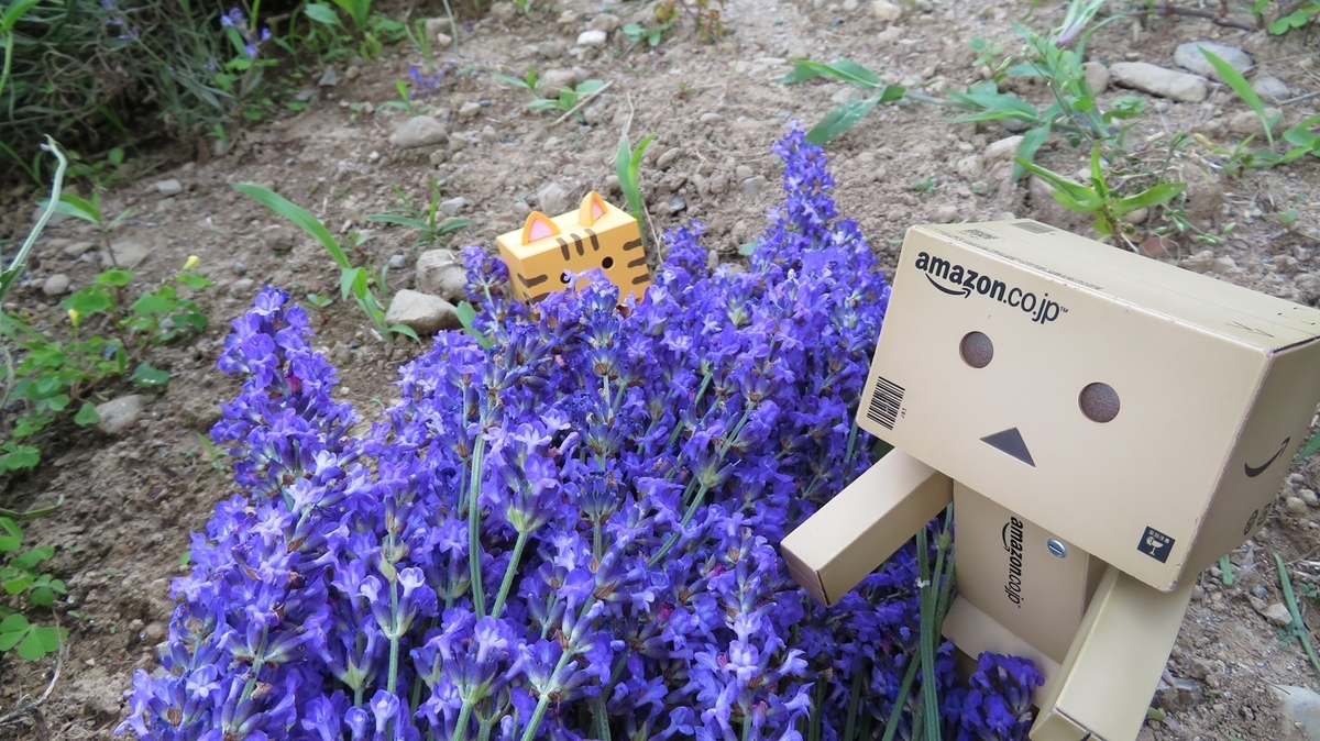 f:id:shirokumapanda:20181214011948j:plain