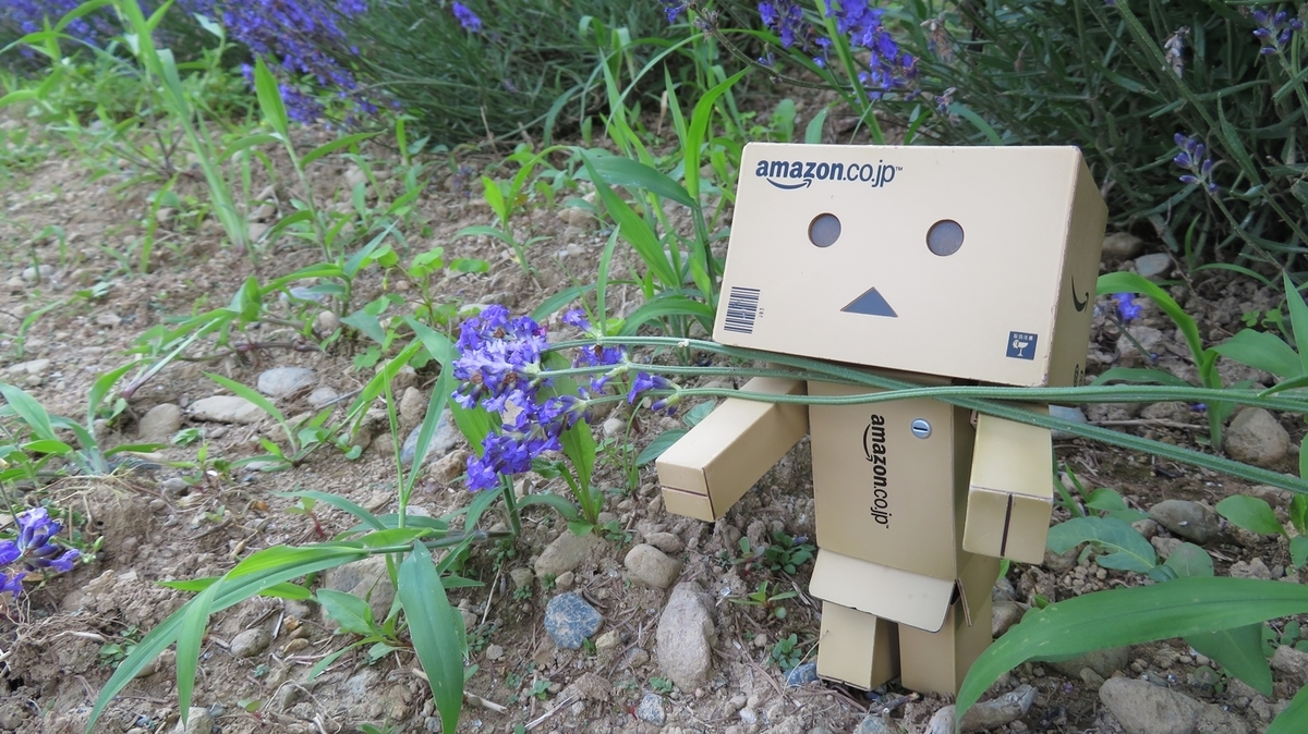 f:id:shirokumapanda:20181214011959j:plain