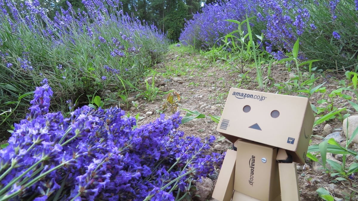 f:id:shirokumapanda:20181214012003j:plain