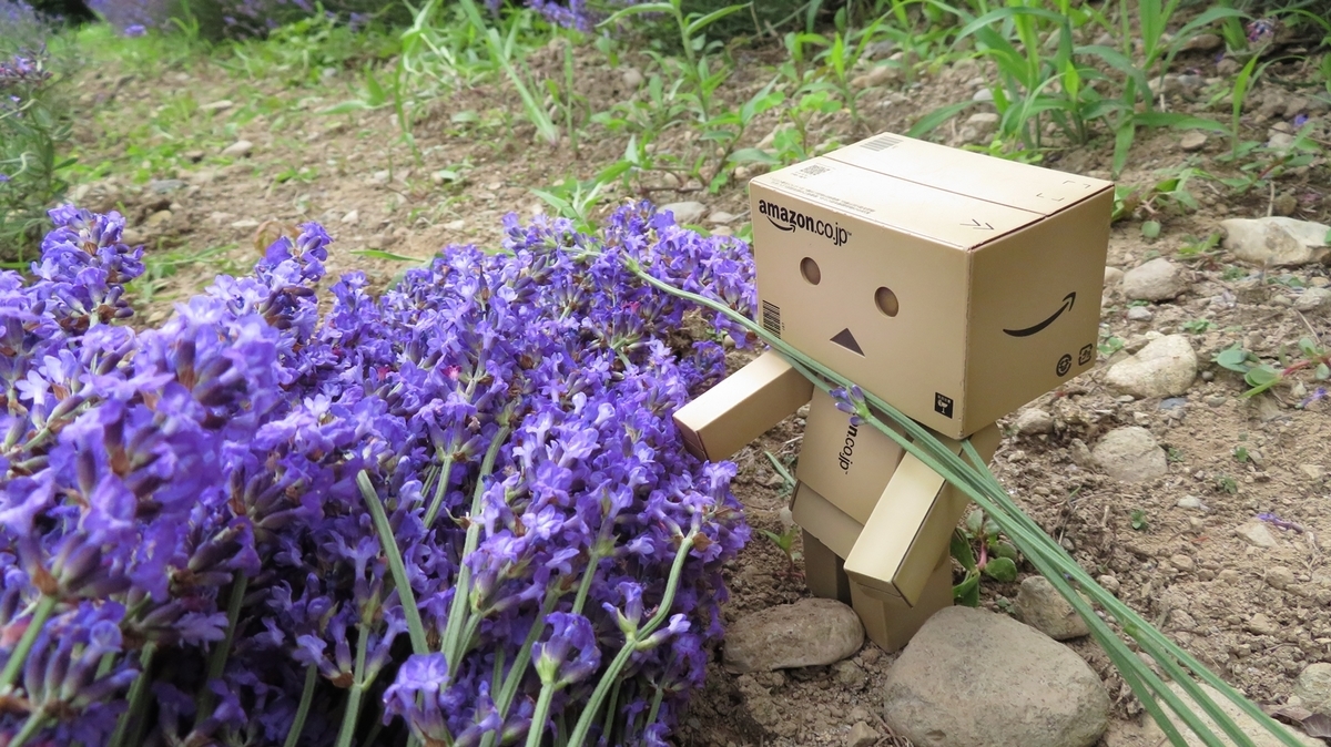 f:id:shirokumapanda:20181214012057j:plain