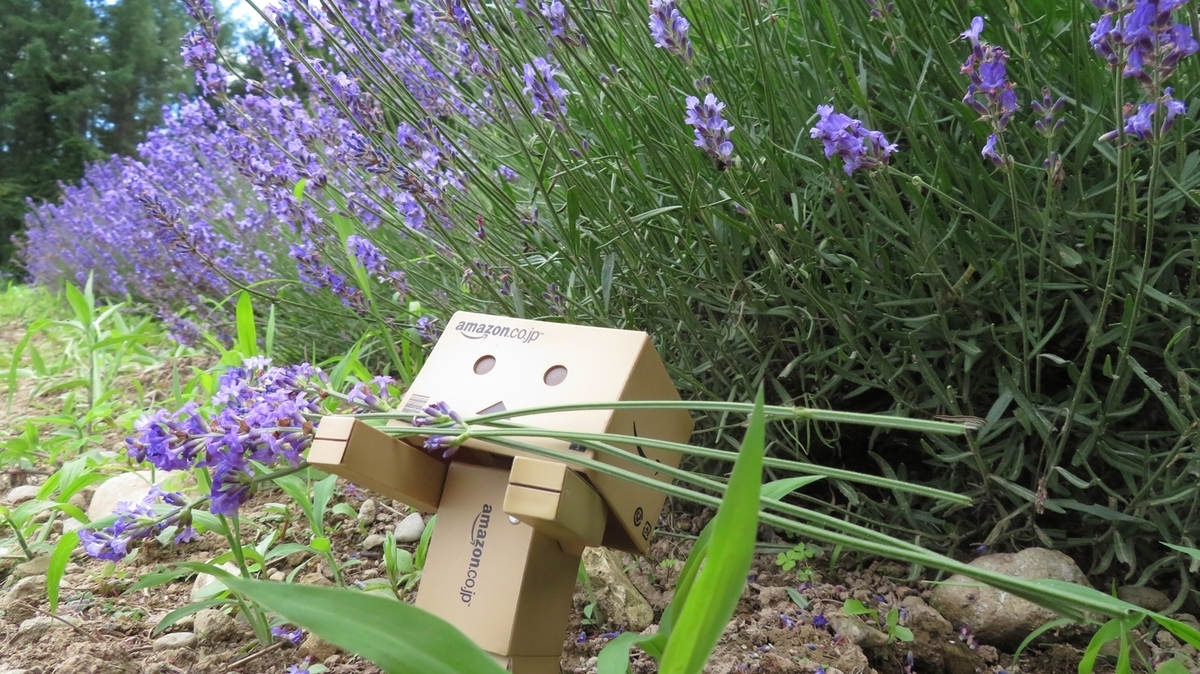 f:id:shirokumapanda:20181214012101j:plain