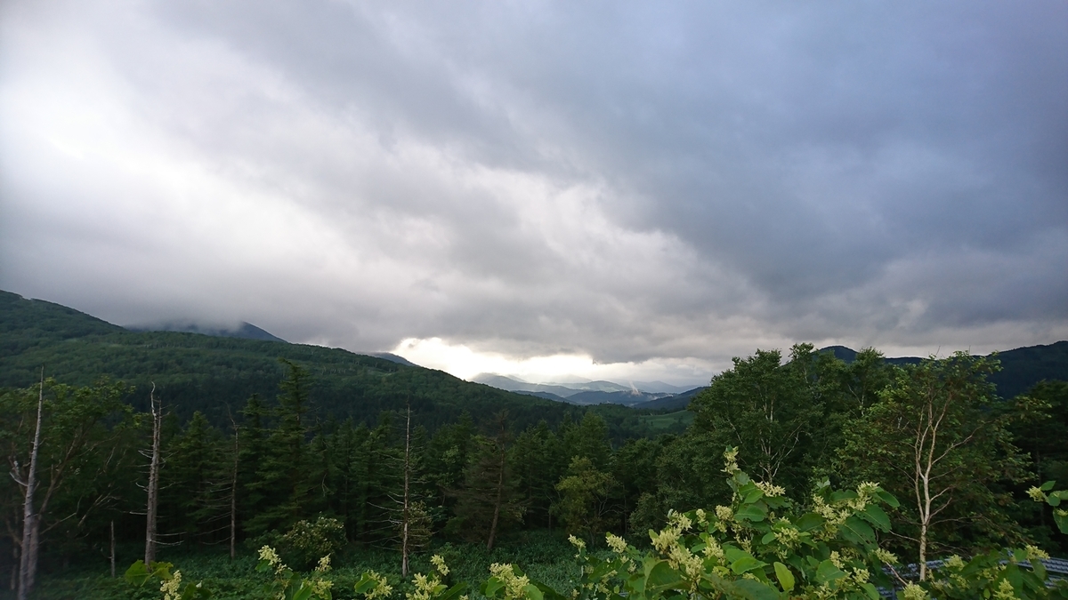 f:id:shirokumapanda:20181221012226j:plain