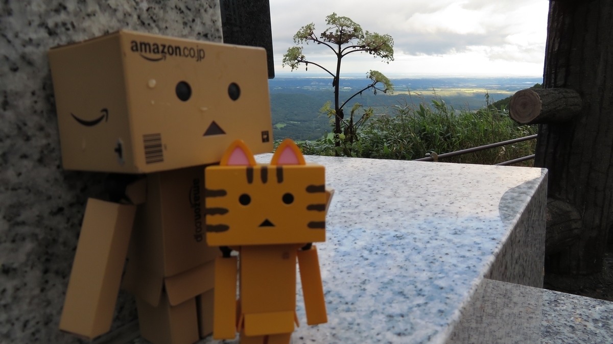 f:id:shirokumapanda:20181221012419j:plain