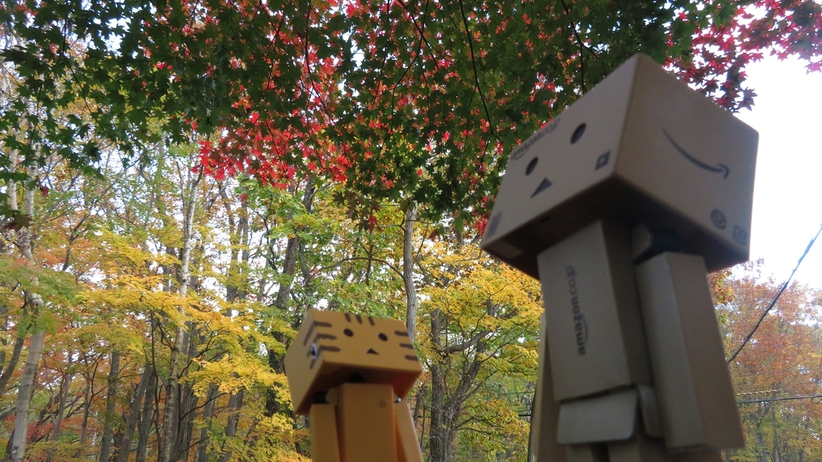 f:id:shirokumapanda:20190104034642j:plain