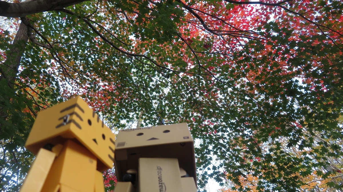 f:id:shirokumapanda:20190104034646j:plain