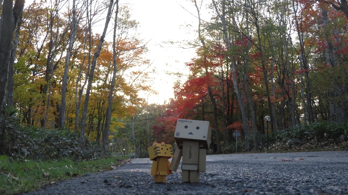 f:id:shirokumapanda:20190104034650j:plain