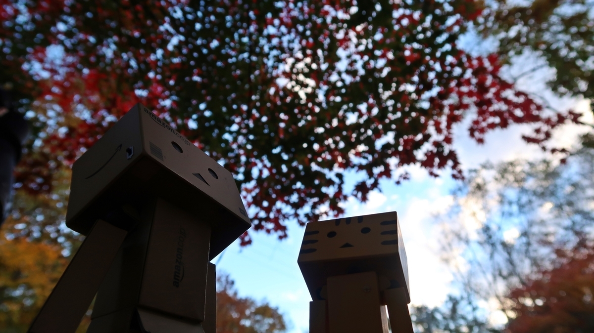 f:id:shirokumapanda:20190104035120j:plain