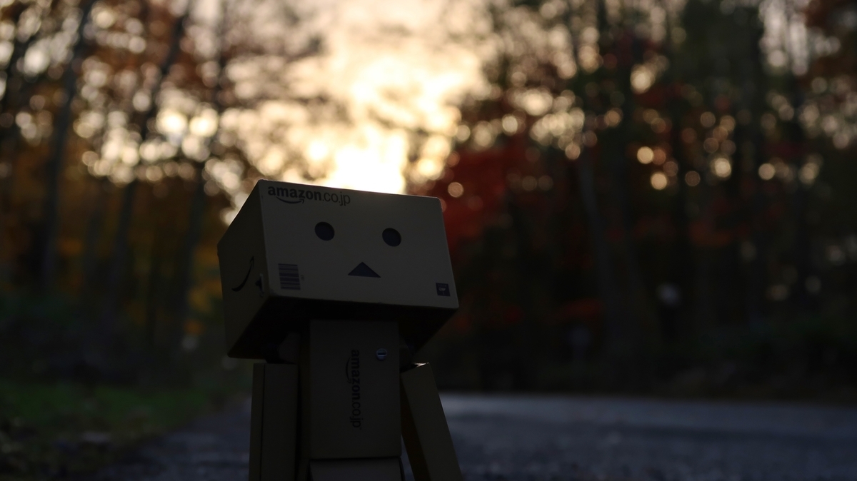 f:id:shirokumapanda:20190104035127j:plain