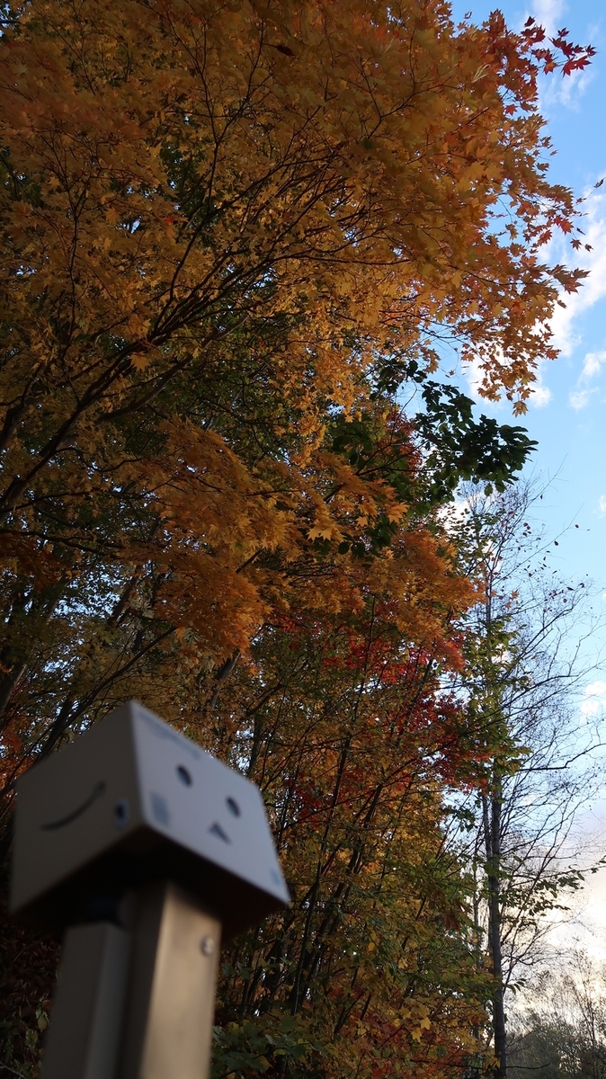 f:id:shirokumapanda:20190104035135j:plain