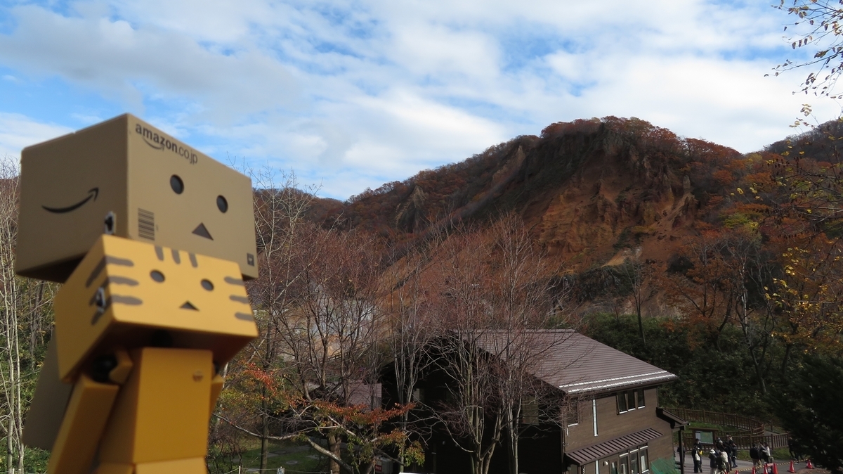 f:id:shirokumapanda:20190105030047j:plain