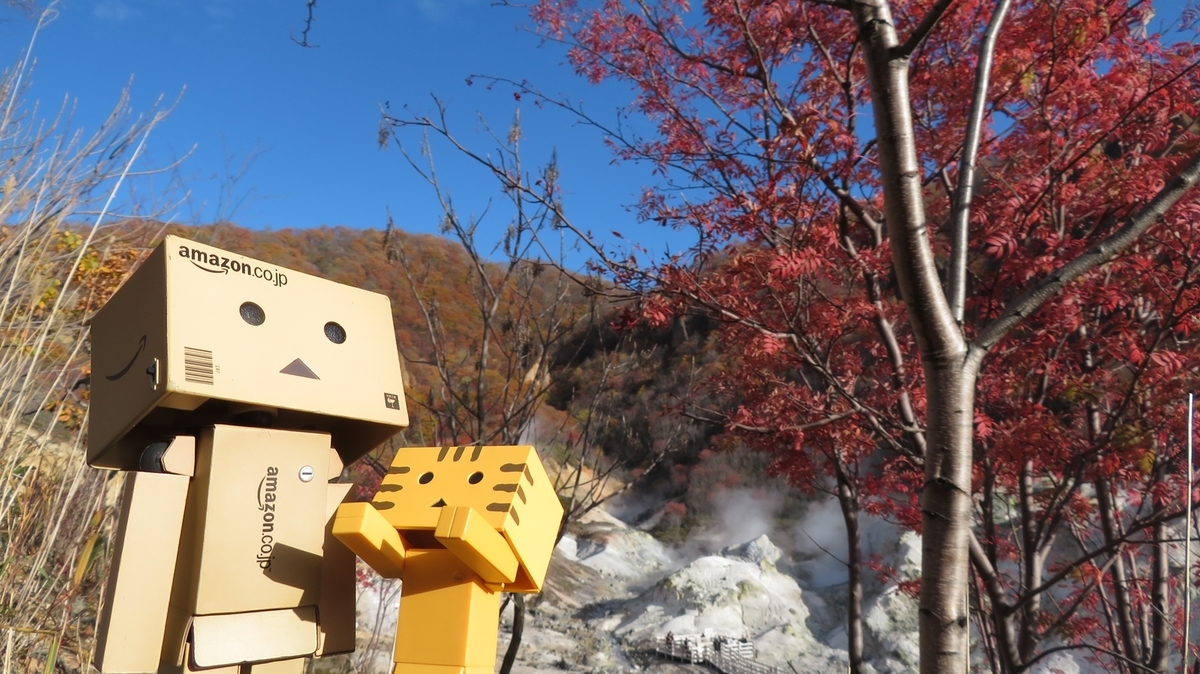 f:id:shirokumapanda:20190105033732j:plain