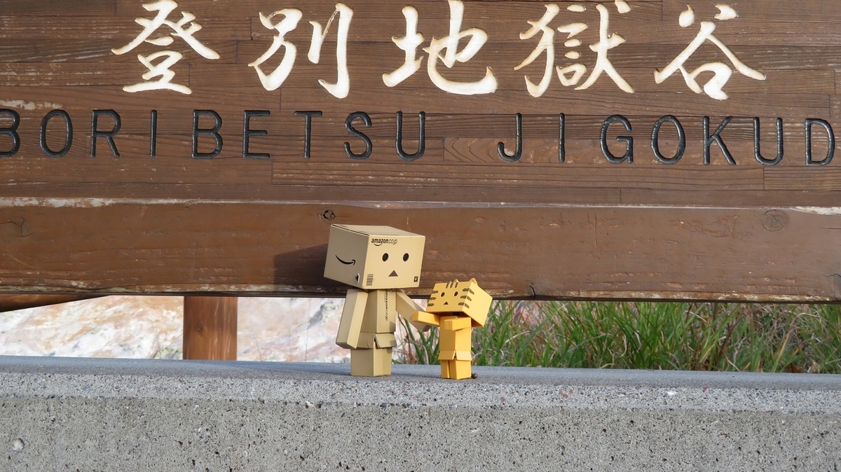 f:id:shirokumapanda:20190105034128j:plain