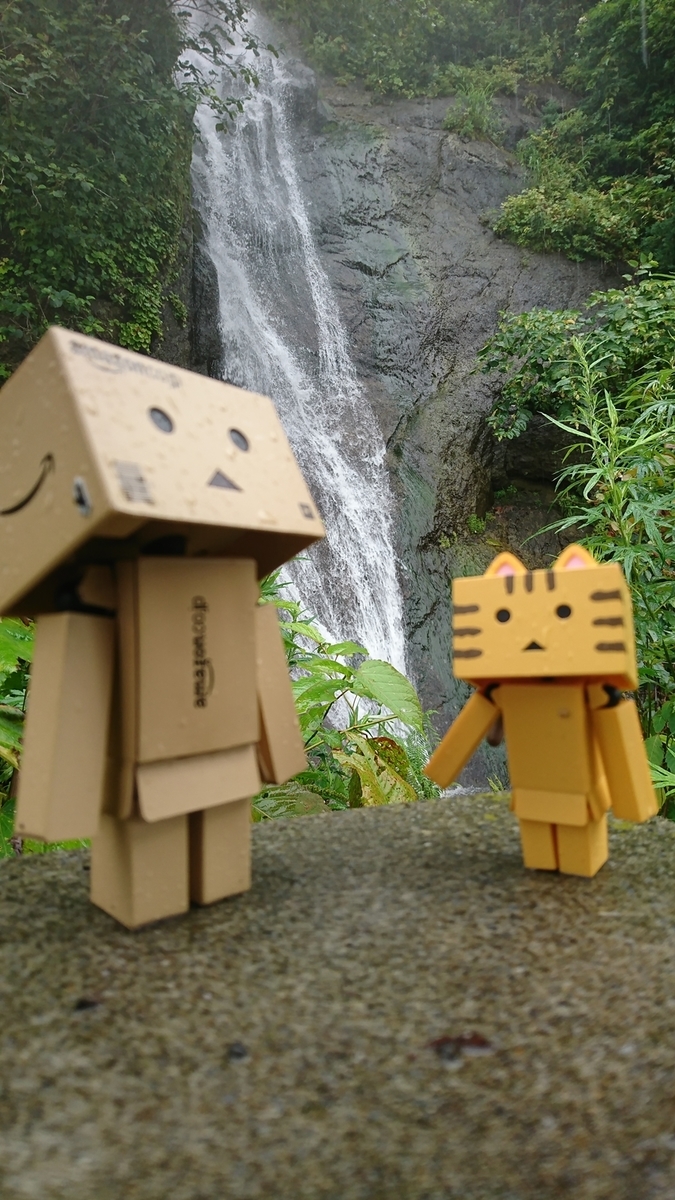 f:id:shirokumapanda:20190110233448j:plain
