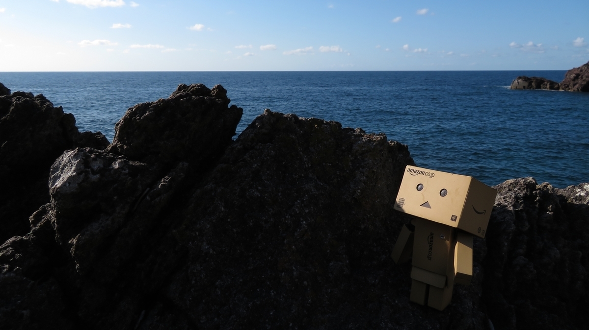 f:id:shirokumapanda:20190116003117j:plain
