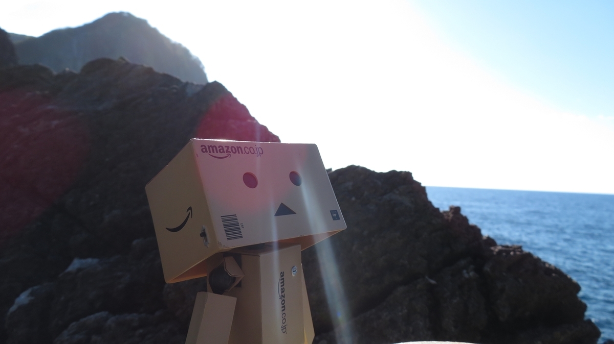 f:id:shirokumapanda:20190116003237j:plain
