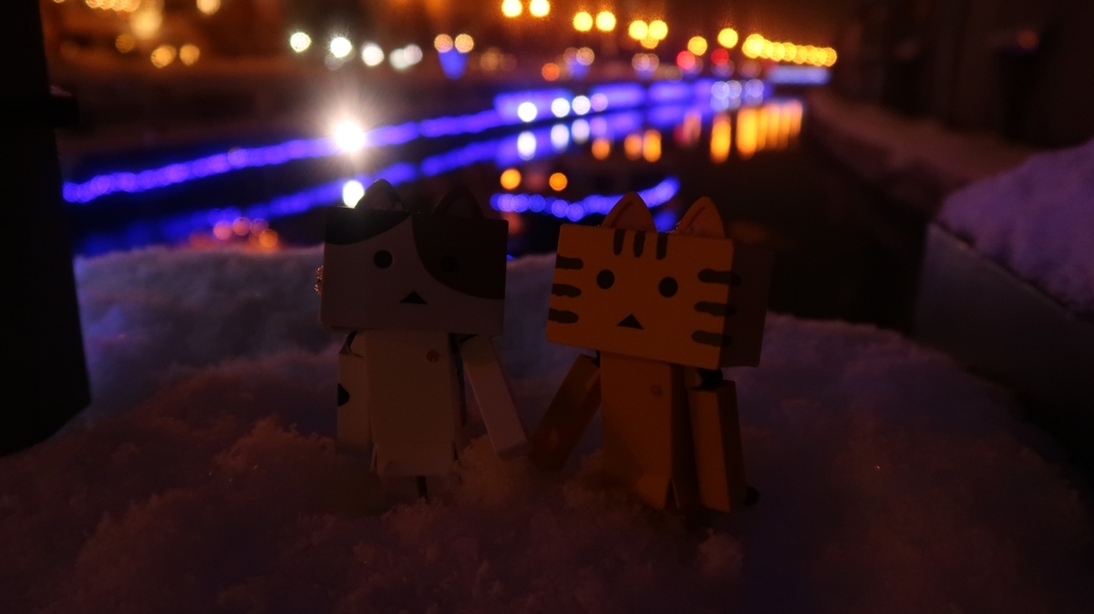 f:id:shirokumapanda:20190118000149j:plain