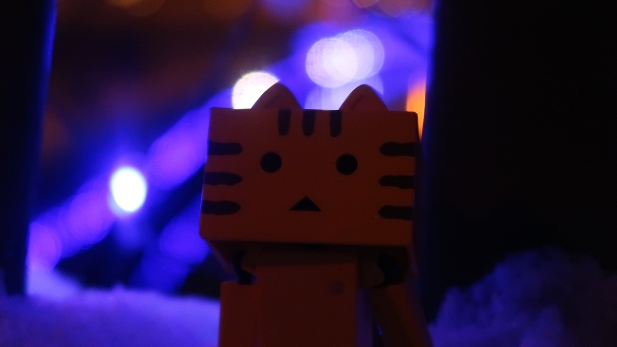 f:id:shirokumapanda:20190118000806j:plain