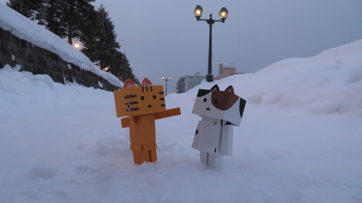 f:id:shirokumapanda:20190118232816j:plain