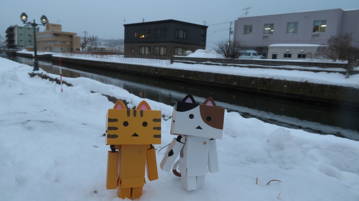 f:id:shirokumapanda:20190118232830j:plain