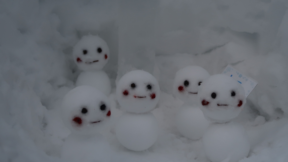f:id:shirokumapanda:20190118232902j:plain