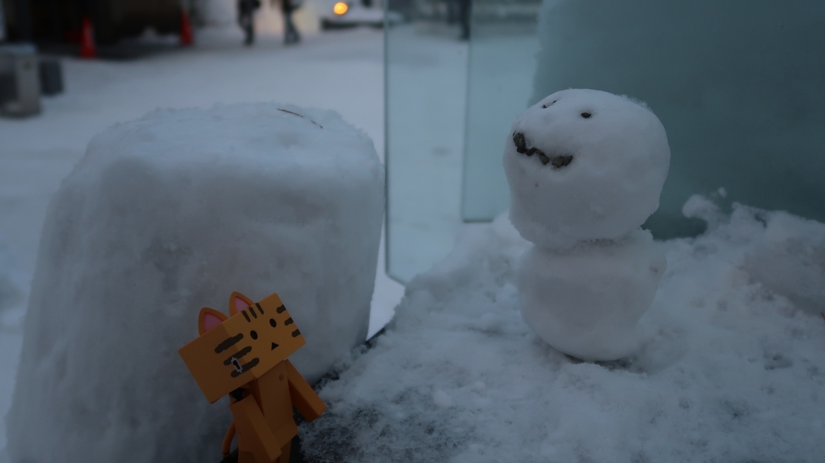 f:id:shirokumapanda:20190118233425j:plain