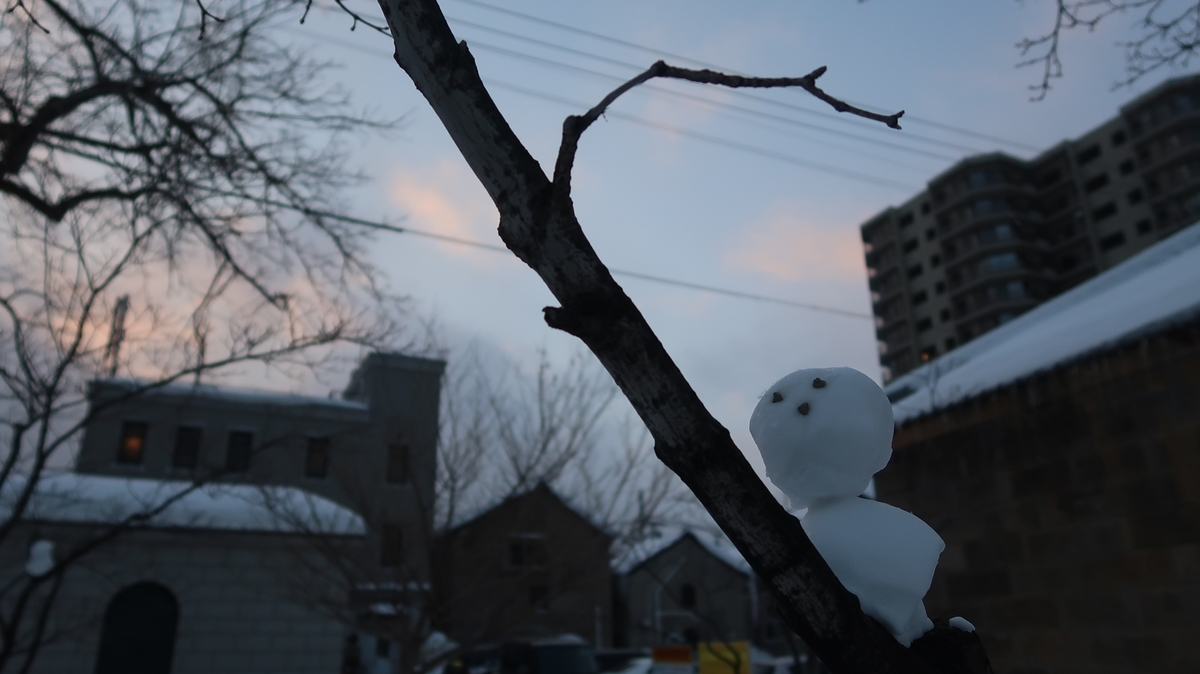 f:id:shirokumapanda:20190118233430j:plain
