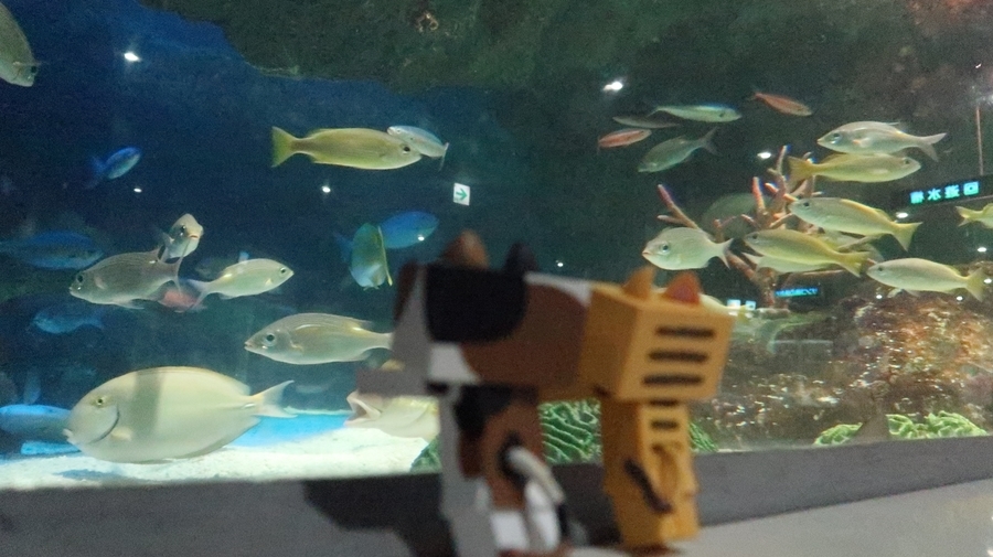 f:id:shirokumapanda:20190122214136j:plain