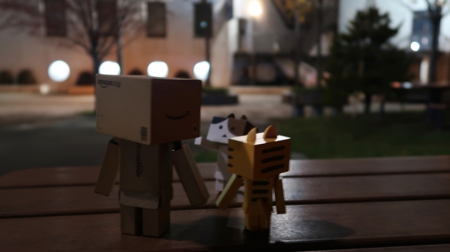 f:id:shirokumapanda:20190122221142j:plain