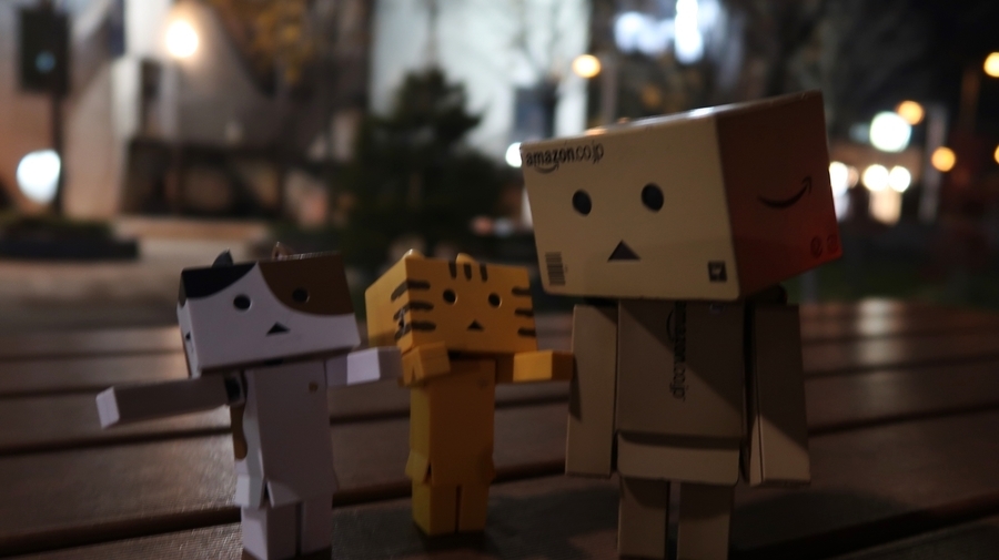 f:id:shirokumapanda:20190122221147j:plain