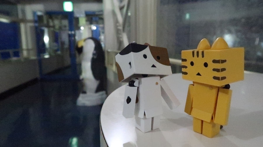 f:id:shirokumapanda:20190122221156j:plain