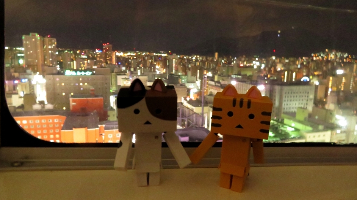 f:id:shirokumapanda:20190123222039j:plain