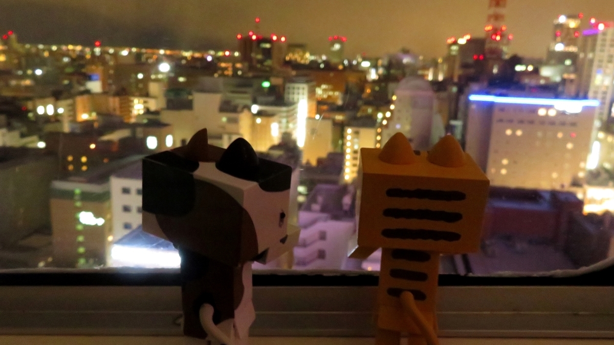 f:id:shirokumapanda:20190123222045j:plain