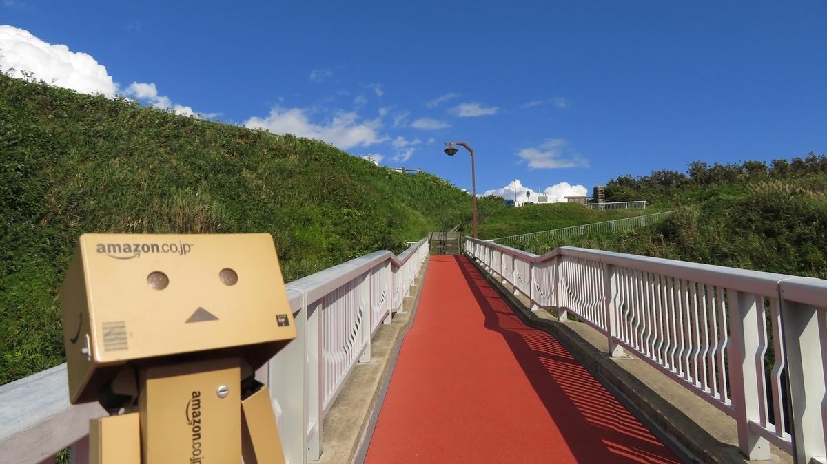 f:id:shirokumapanda:20190124211459j:plain