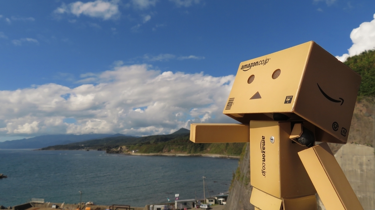 f:id:shirokumapanda:20190124211722j:plain